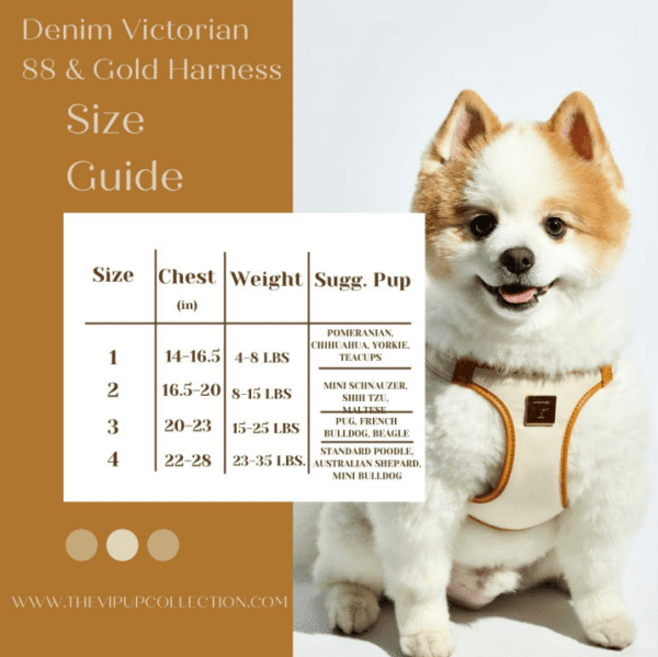 harness size chart - The V.I.PUP Collection